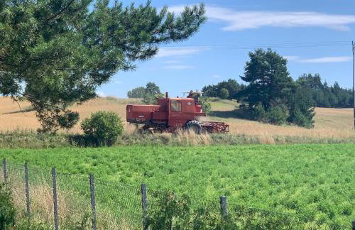 Domek wypoczynkowy Letnisko Sosenkowo - Foto 49