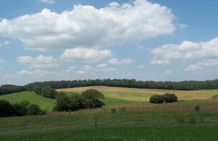 Gite Du Colombier - Foto 42