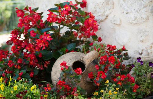 Agriturismo Le Faeta - Foto 69