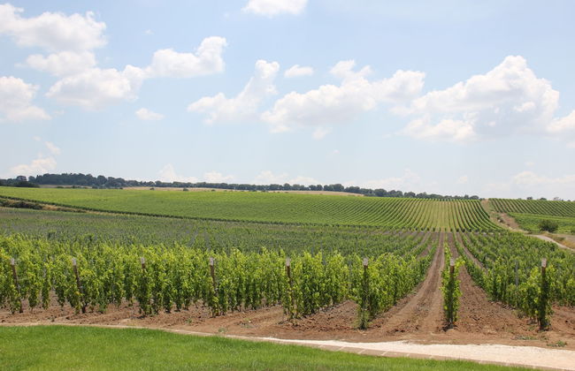 Agriturismo Poggio al Tufo - Photo 41