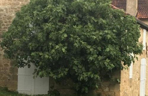 Mas du figuier Occitanie - Maison de maitre - Foto 3