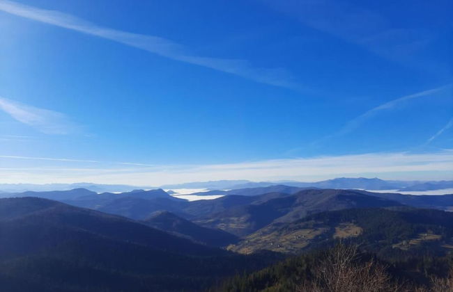 Cottage Zlodo - Foto 14