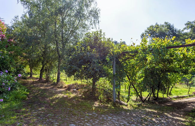 Quinta da Comenda - Casa da Bica - Foto 26