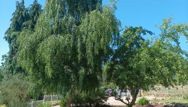 Love Room, L'aubertine - Foto 3