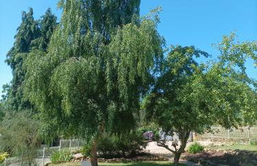 Love Room, L'aubertine - Foto 3