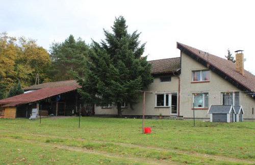 Gospodarstwo Agroturystyczne Agroletnica - Foto 97