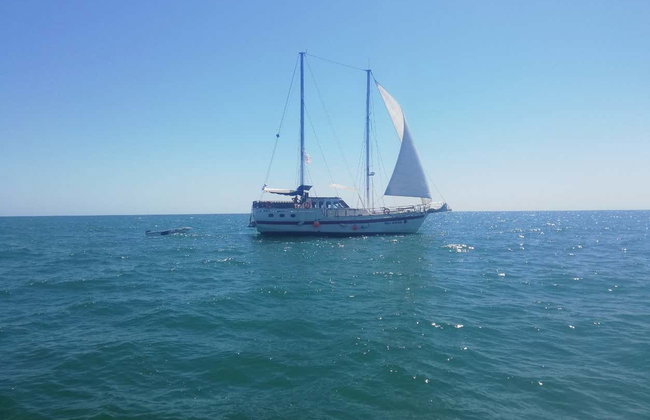 Black Sea Yacht Cruise - Photo 7