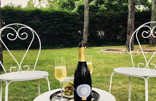 Domaine de la Ronce - Foto 29