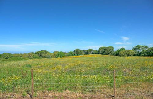 Casa da Antónia - Foto 14