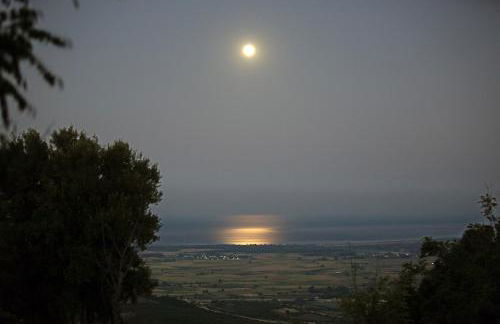 Olympus Beach Aigani Family House - Photo 41