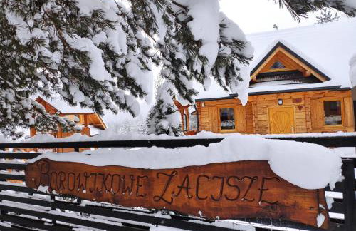 Borowikowe Zacisze drewniane domy z kominkami - Foto 76