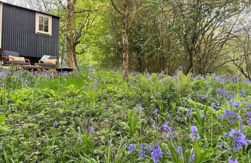 Shepherd's Hut - Sleeps 2 - Pet Friendly - Parking - Foto 50