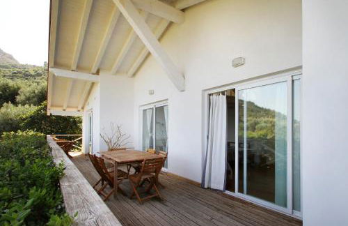 La Gabbianella E Il Gatto - Foto 35