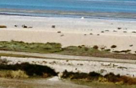 Plaisir en baie - Foto 53