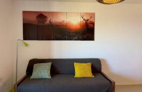 Appartements du Pic d'Anie - Foto 8