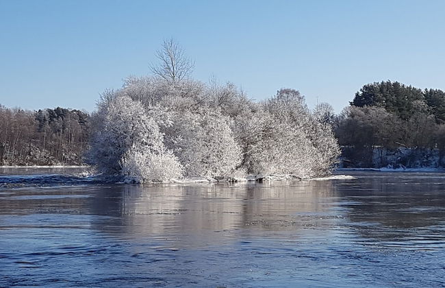 Tallitalo - Garage House - Foto 21