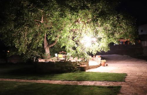 Cantinho D'Aldeia - Foto 26