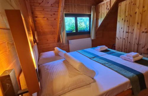 Apartments Plitvice forest - Two Bedroom Apartment with Terrace - Foto 11