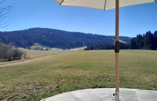 Neueröffnung, 2 wunderschöne Ferienwohnungen im Grünen - Foto 28