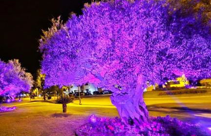 'Spanish Sunset' Vacation Apartment - Foto 20