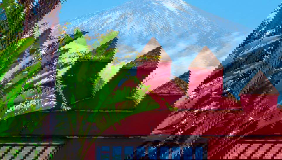 Le Teide enneigé, vu de la Casa del Vino