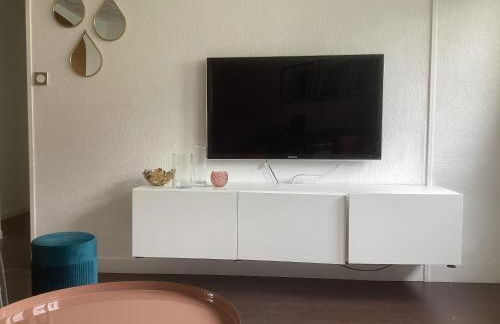 50 m2 T2 au calme, lumineux, confortable, cosy, climatisé, privatif avec parking gratuit et terrasse - Foto 12