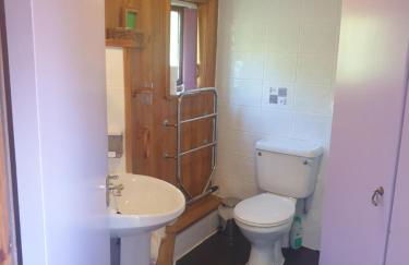 Bryn Elltyd Eco House - Foto 72