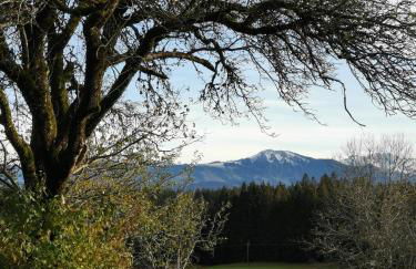 Ferienwohnung Mayr - Photo 25