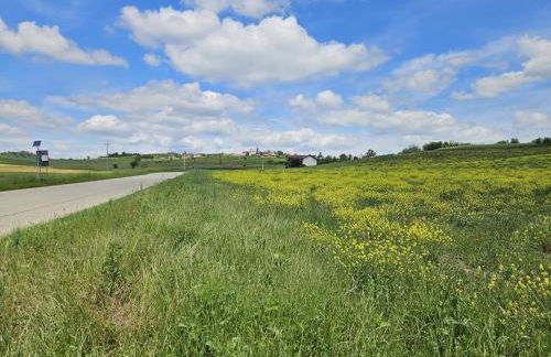 La casa rossa nel Monferrato a Moncucco Torinese - Foto 18