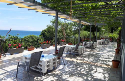 Ammos papanero - Foto 12