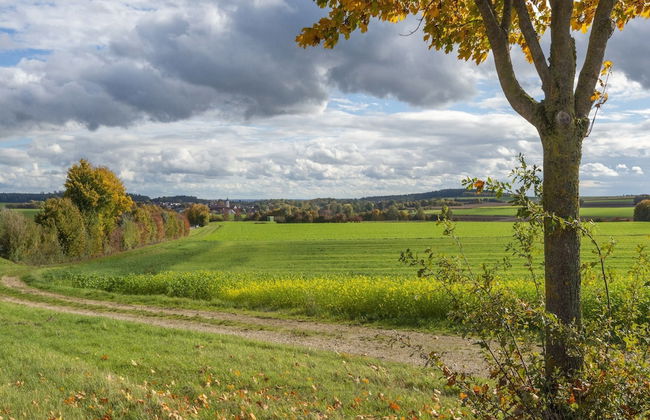 Lovely Holiday Home in Haunsheim - Foto 63