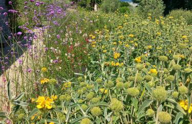 Agriturismo Timignano - Foto 14