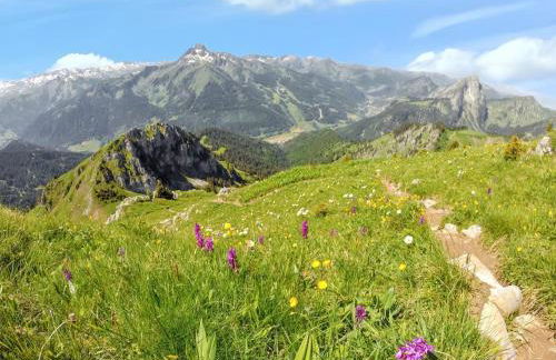 Appartement lumineux à La Chapelle-d'Abondance, vue montagne. - Foto 15