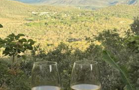 Chalé vista da vila - Foto 19