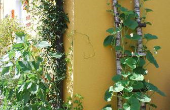 Casa Ramke - Foto 19