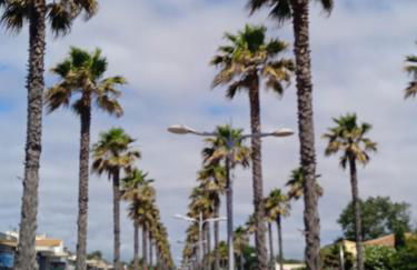 Vacances Idéale en Bord de Mer - Foto 8