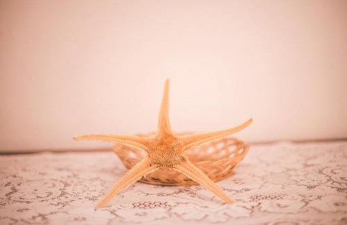 Apartments Marina - Photo 53