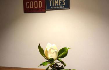 Intero alloggio campagna Lucca - Foto 13