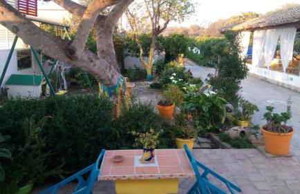 Zagara di Sicilia - Foto 148