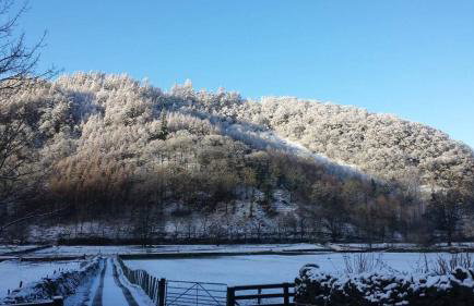 Stybeck Farm - Foto 41