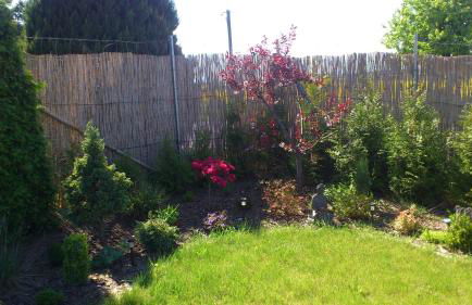 Pension zum Wiesengrund - Photo 40