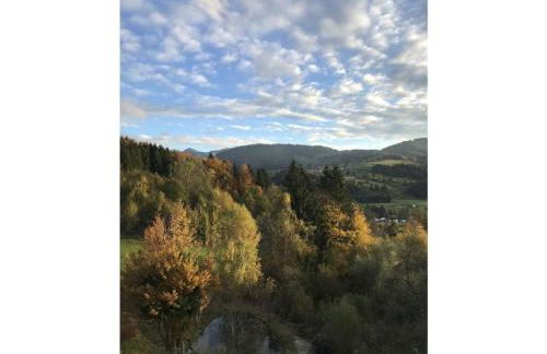 Alpchalet Staufner Quelle - Foto 27