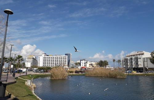 BONITAS VISTAS - Photo 39