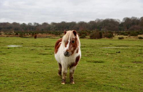 Stable Cottage - Photo 4