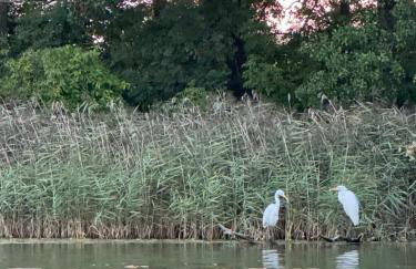 Borowe Apartamenty - Photo 51