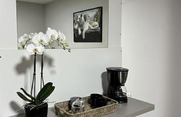 Loft privativo prox. Shopping - Photo 10