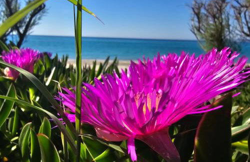 Athenas Vila - Foto 1