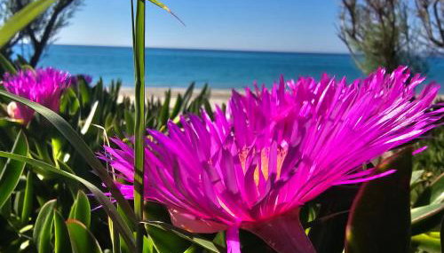 Athenas Vila - Foto 1