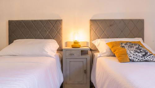 Windrose The Cat - Foto 2