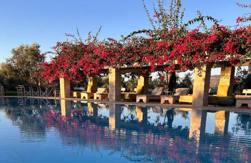 Agrikies Country Retreat - Foto 30